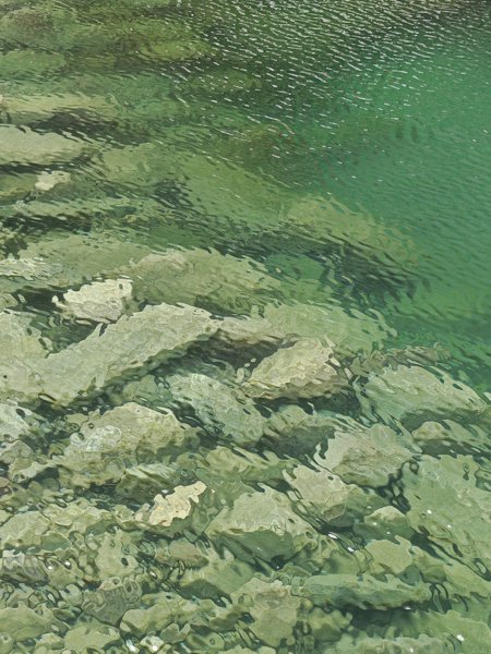 拍的仿佛是像素画，但确实长这样