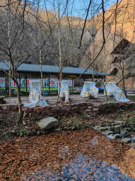 挖掘机技术哪家强